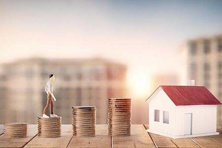 财经直播:猫菲特股票解析