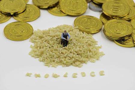 个股解析：财经直播深度解读