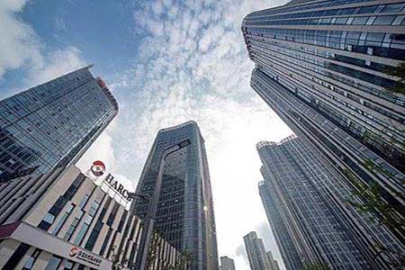 财经直播知名教授是谁